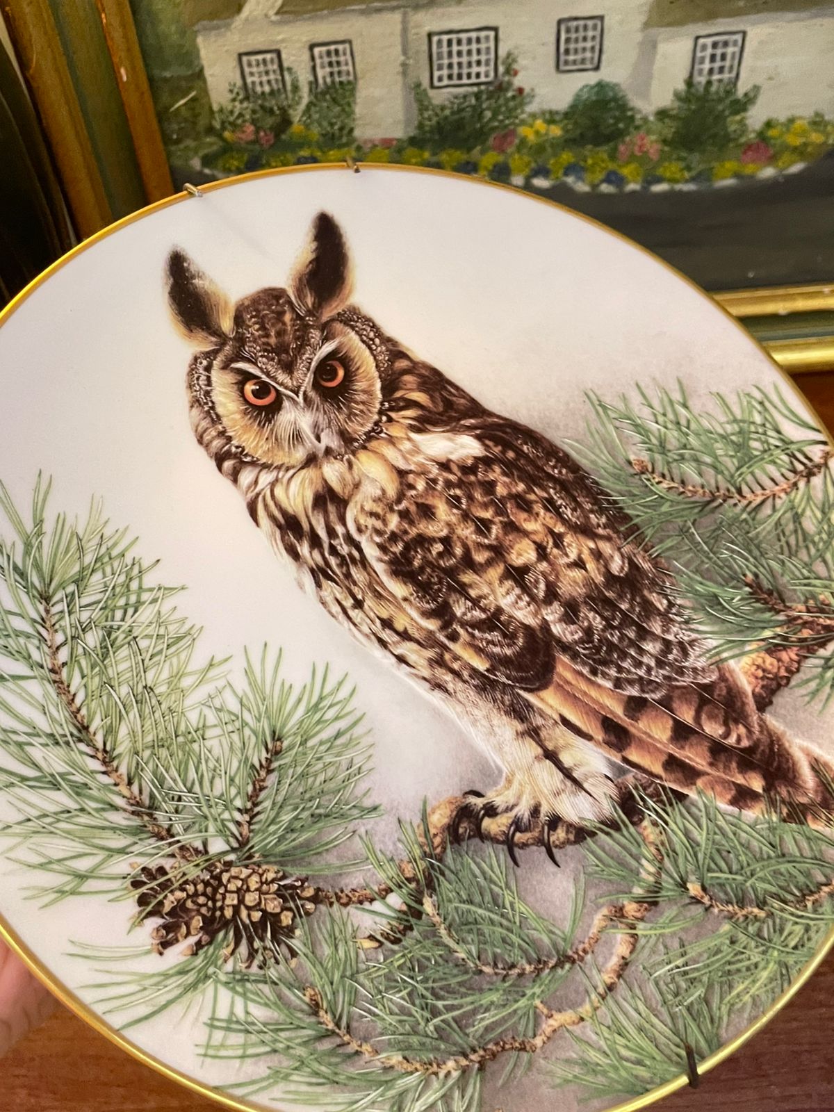 1984 “Long-Eared Owl” Plate | Wilhelm Buehler Limoges | 9" | Collector Edition