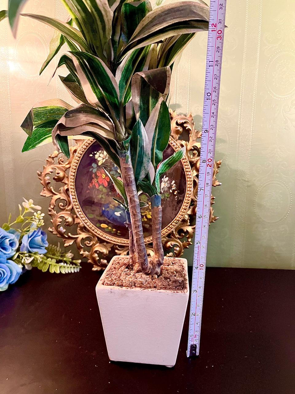 Artificial Dracaena Plant in White Planter