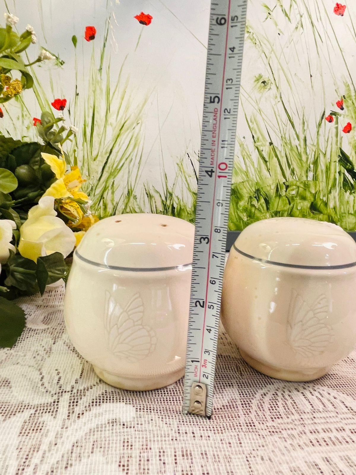 Vintage Porcelain Butterfly Salt & Pepper Shaker Set