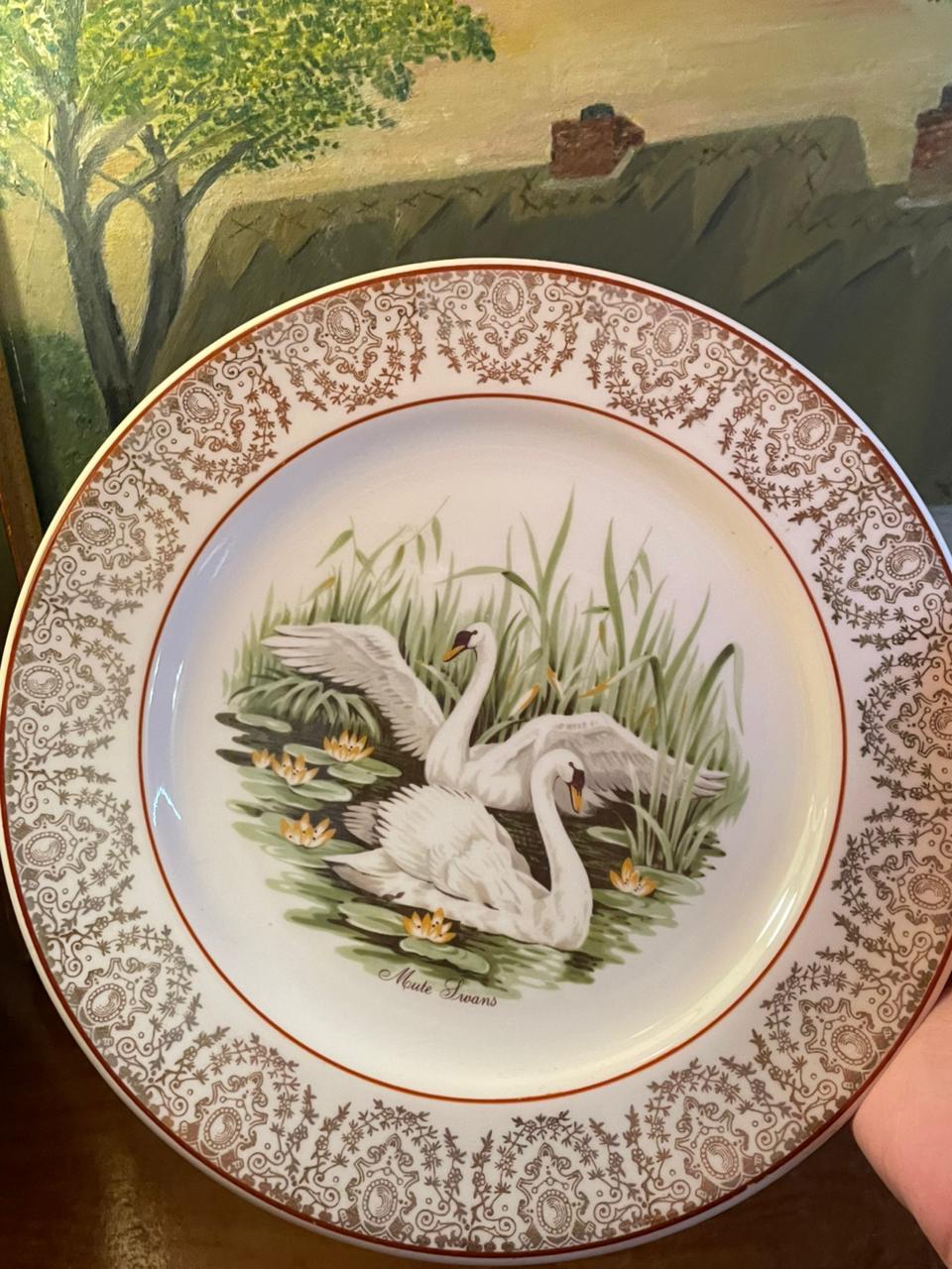 Mute Swans Collector Plate | 8" | Fine Bone China | Made in England