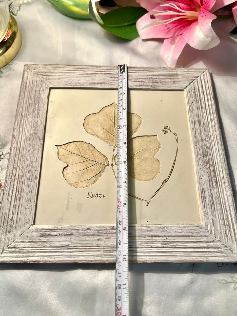 Kudzu Botanical Framed Leaf Artwork 10"
