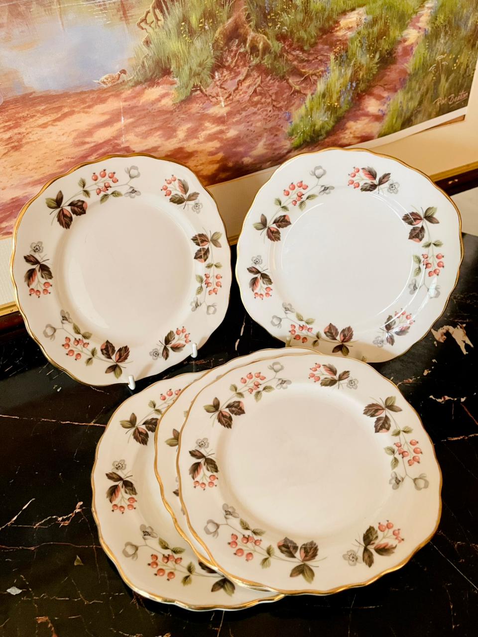 Set of 5 Colclough Bone China Plates – Red Berry & Gold Rim (England)
