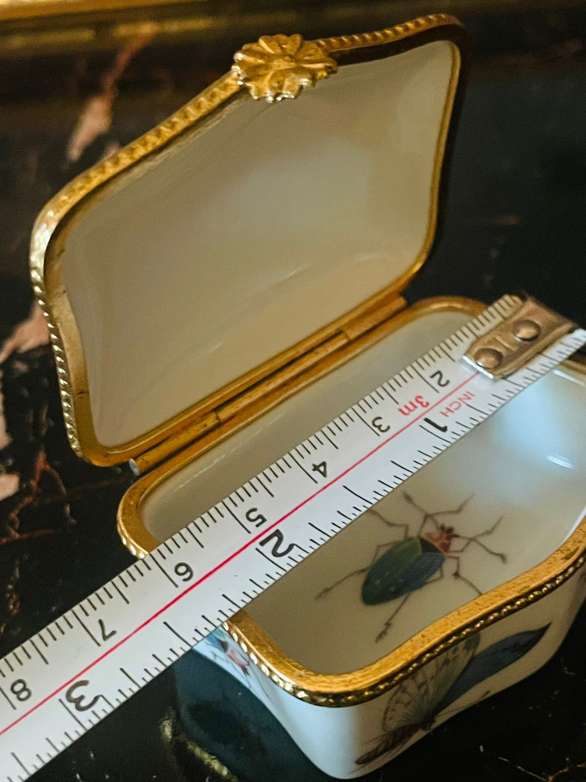 Vintage English Porcelain Trinket Box – Butterfly & Beetle Motif with Gold Rim