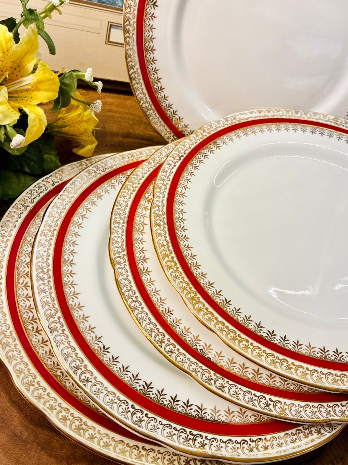 Salisbury Sarum Bone China Dinner Plates Set of 5