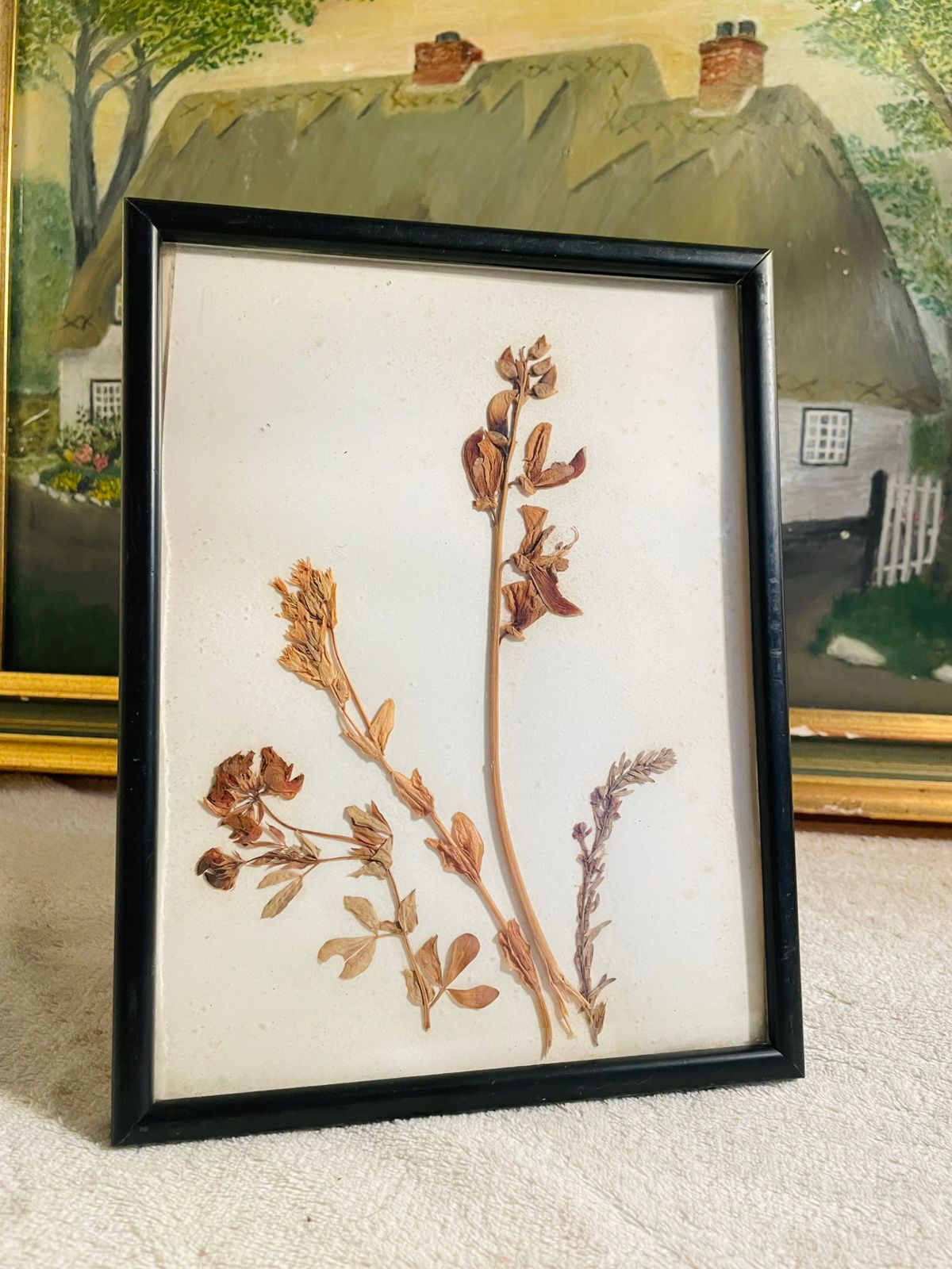 Framed Antique Herbier – Dry Pressed Flowers with French Inscription