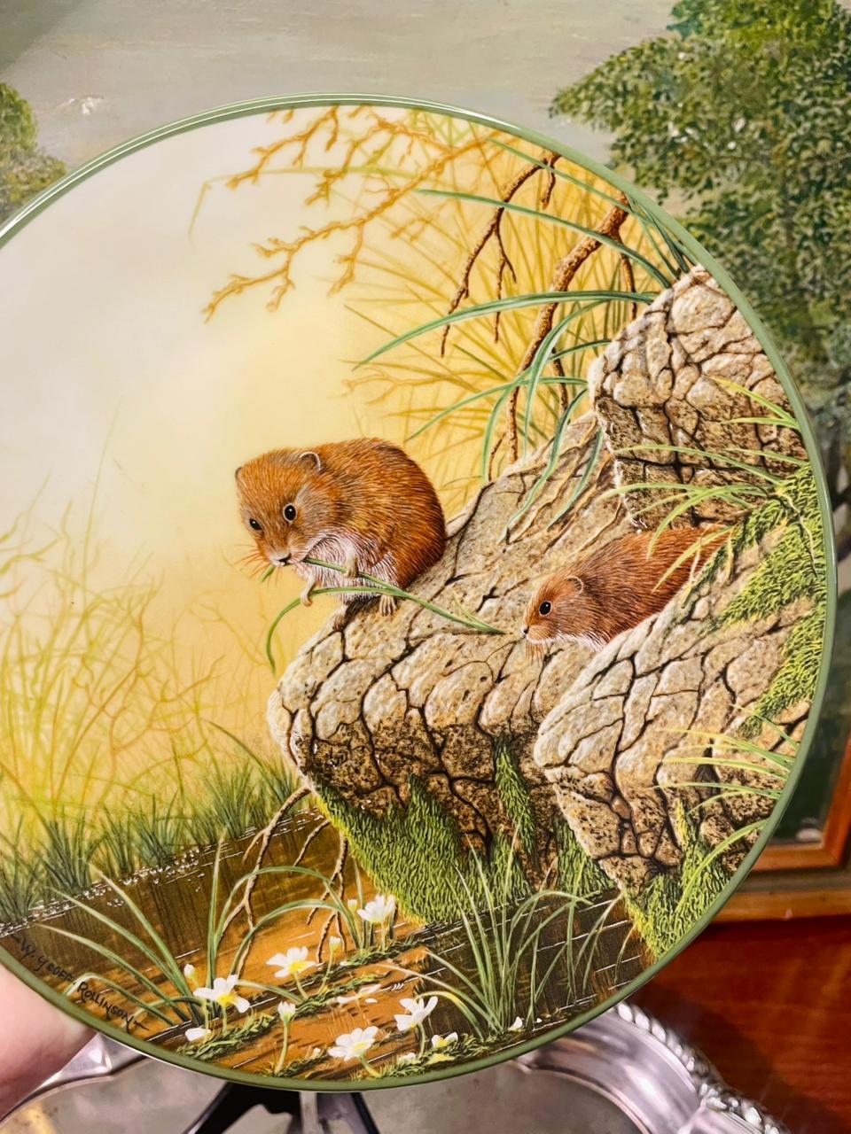 Royal Doulton “Foraging Bank Voles” Collector Plate – 8.5in Wildlife Decor
