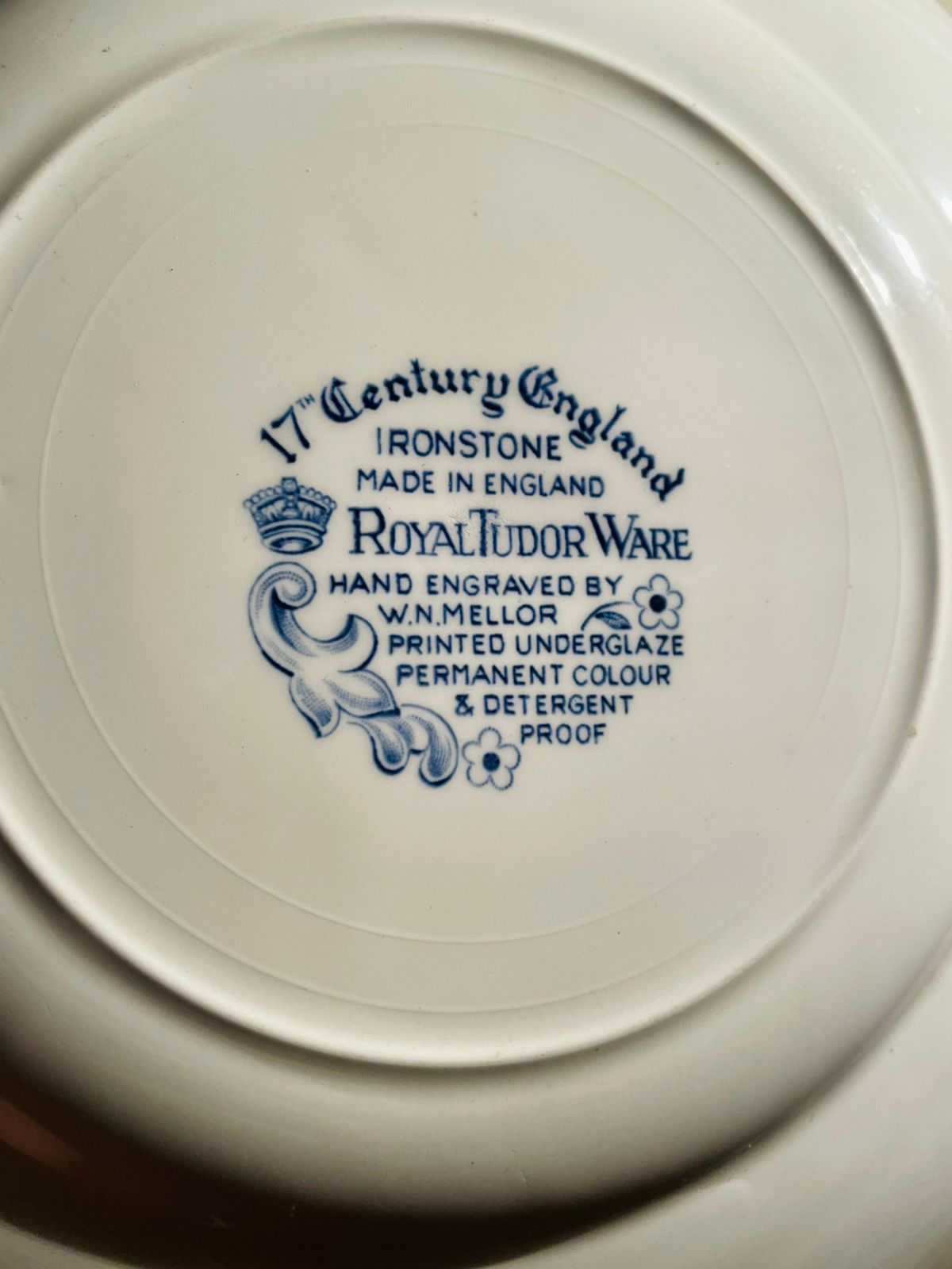 Pair of Antique Royal Tudor Ware Ironstone Plates – “17 century (Made in England)
