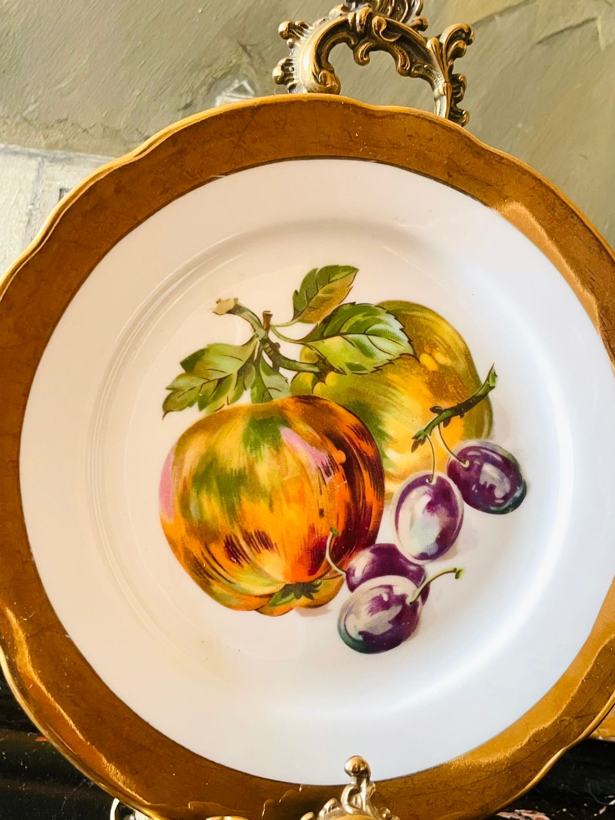 (Rare find) Set of 2 Vintage Czechoslovakia Porcelain Plates – Hand-Painted Fruits with Gold Trim