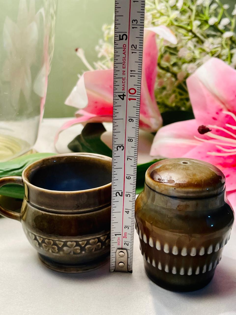 Irish Porcelain Made in Ireland Mini Mug & Shaker Set Vintage Pottery