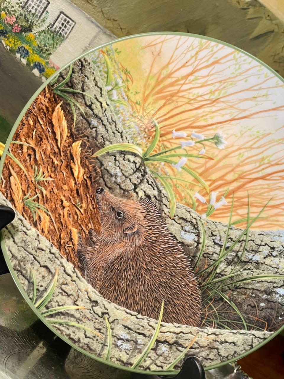 Royal Doulton “Hedgehog” Collector Plate – 8.5in Wildlife Decor