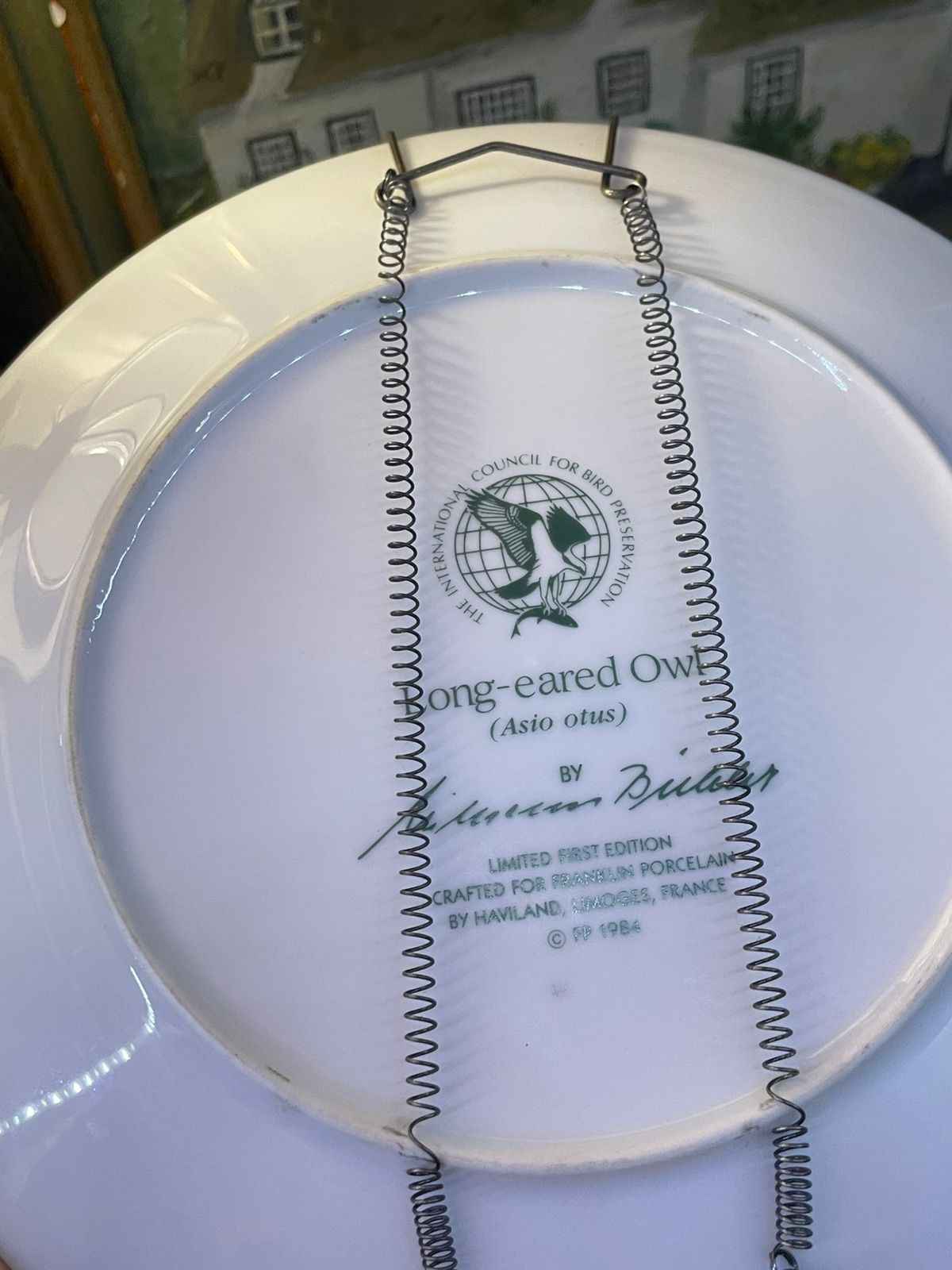 1984 “Long-Eared Owl” Plate | Wilhelm Buehler Limoges | 9" | Collector Edition