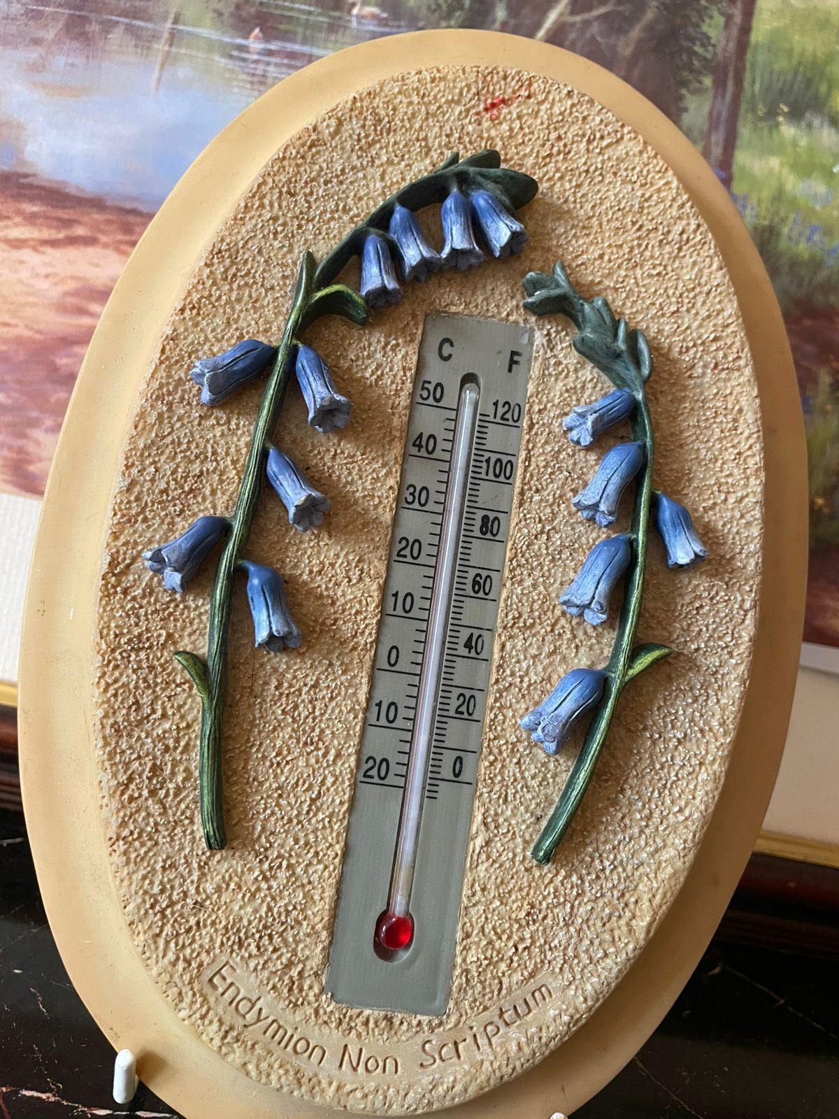 Victorian Wooden Wall Plaque with Thermometer & Floral Design – Home Obsession