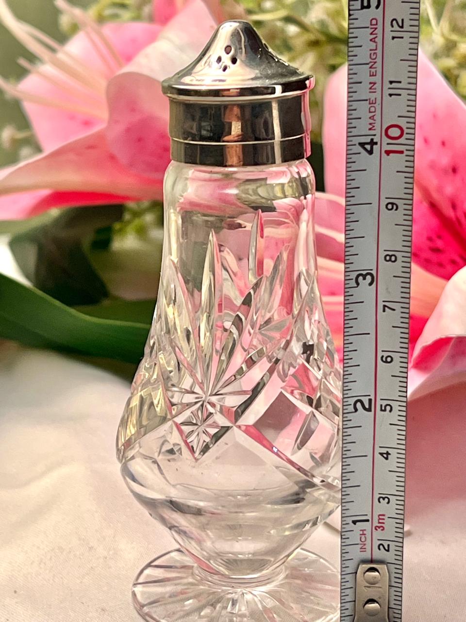 Vintage Clear Crystal Condiment Salt & Pepper Shaker Set 4.5 in