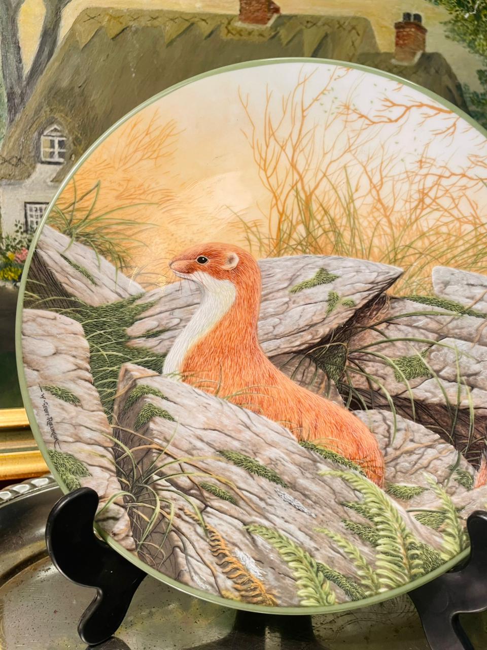 Royal Doulton “Stoat” Collector Plate – 8.5in Wildlife Decor
