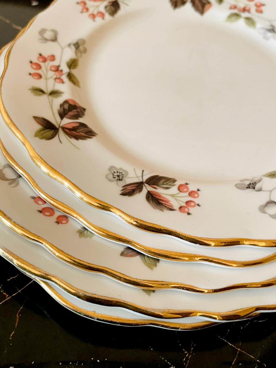 Set of 5 Colclough Bone China Plates – Red Berry & Gold Rim (England)