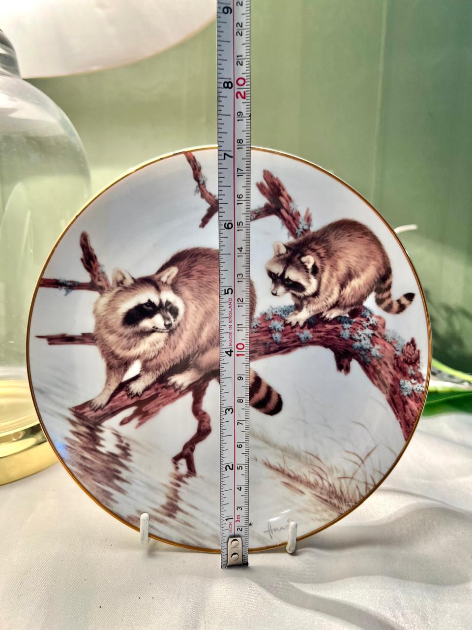 The Collectors Studio Raccoons Decorative Plate 18cm