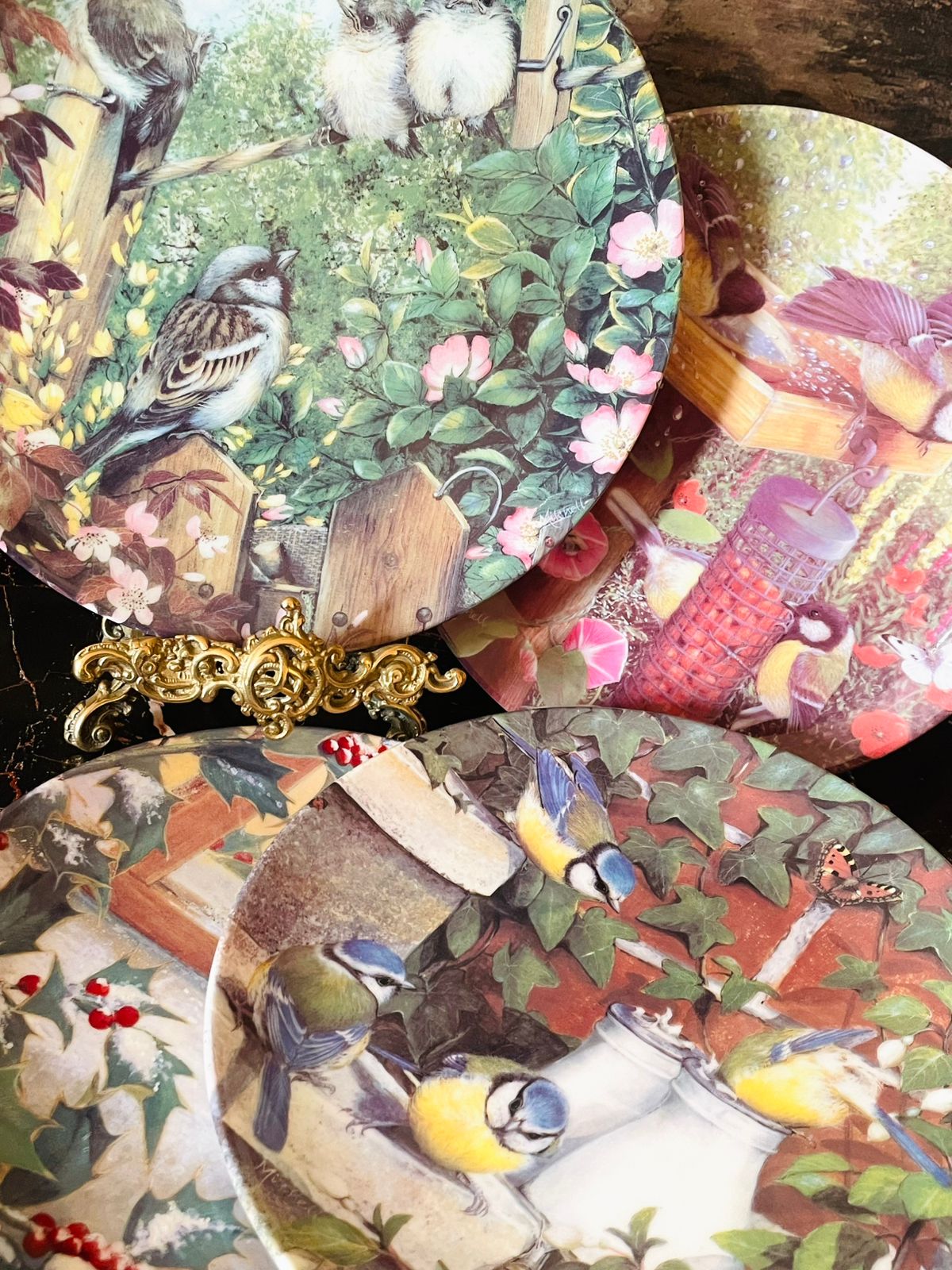Set of 4 Coalport “Garden Visitors” Fine Bone China Collector Plates – Bird Plates Series 8 inches