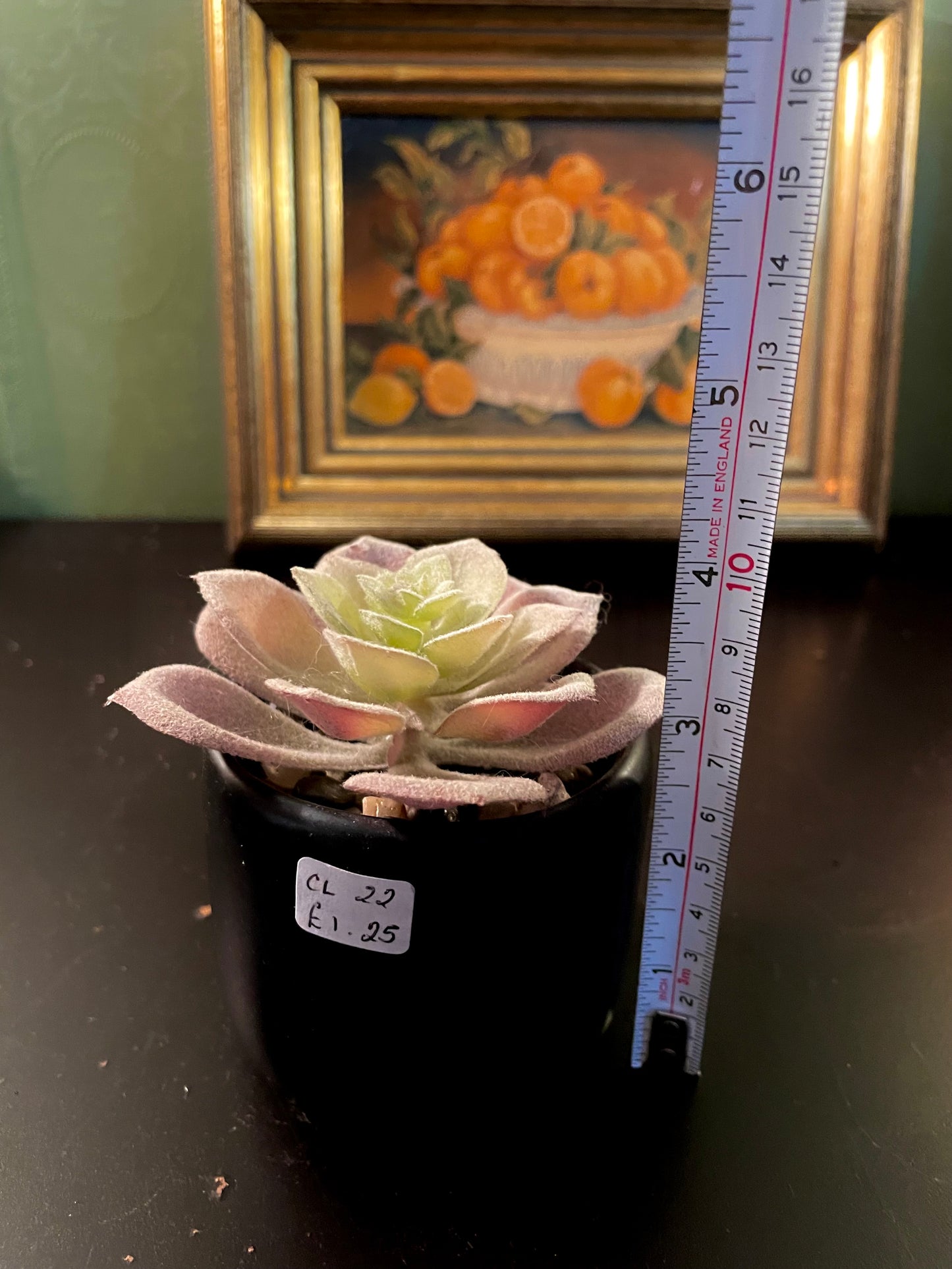 Artificial Blush Succulent in Black Pot 4 Inch
