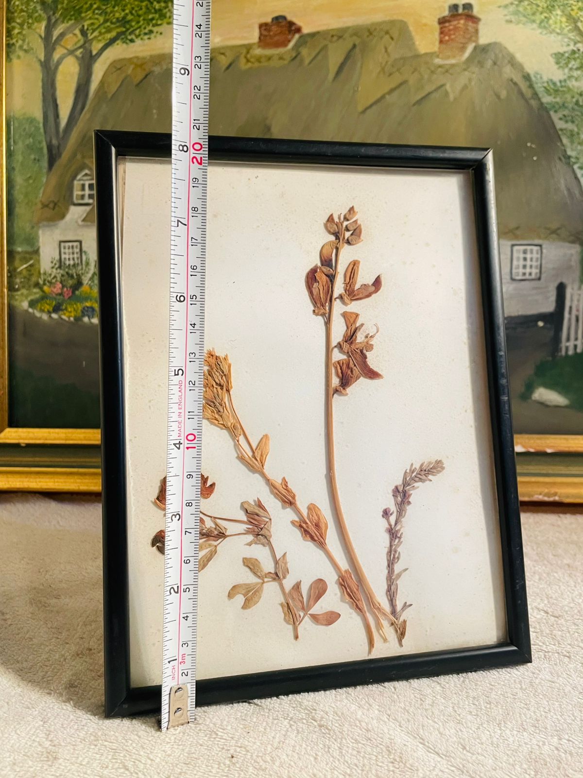 Framed Antique Herbier – Dry Pressed Flowers with French Inscription