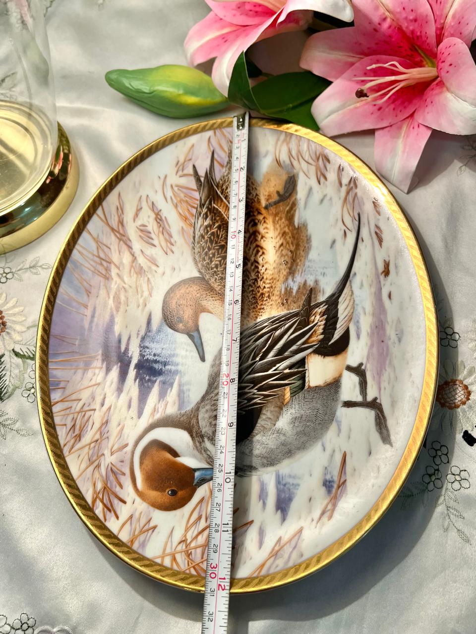 Wild Ducks of Europe Pintail Porcelain Plate 12 in