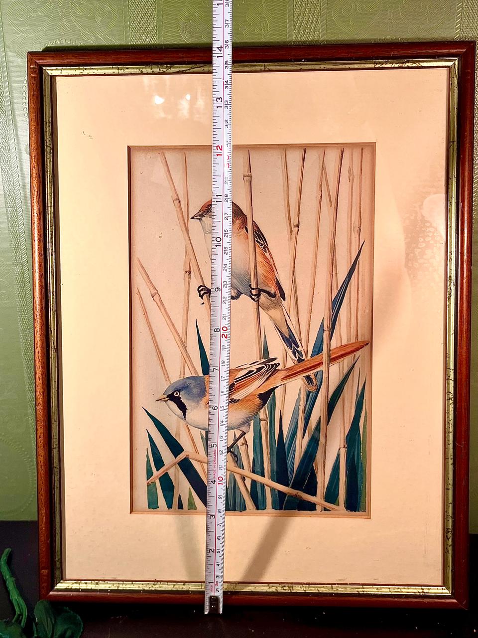 Vintage Framed Bird Print with Reed Scene 14 in