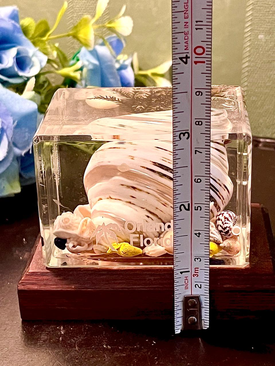 Orlando Florida Crystal Shell Display Cube 3.5 Inch