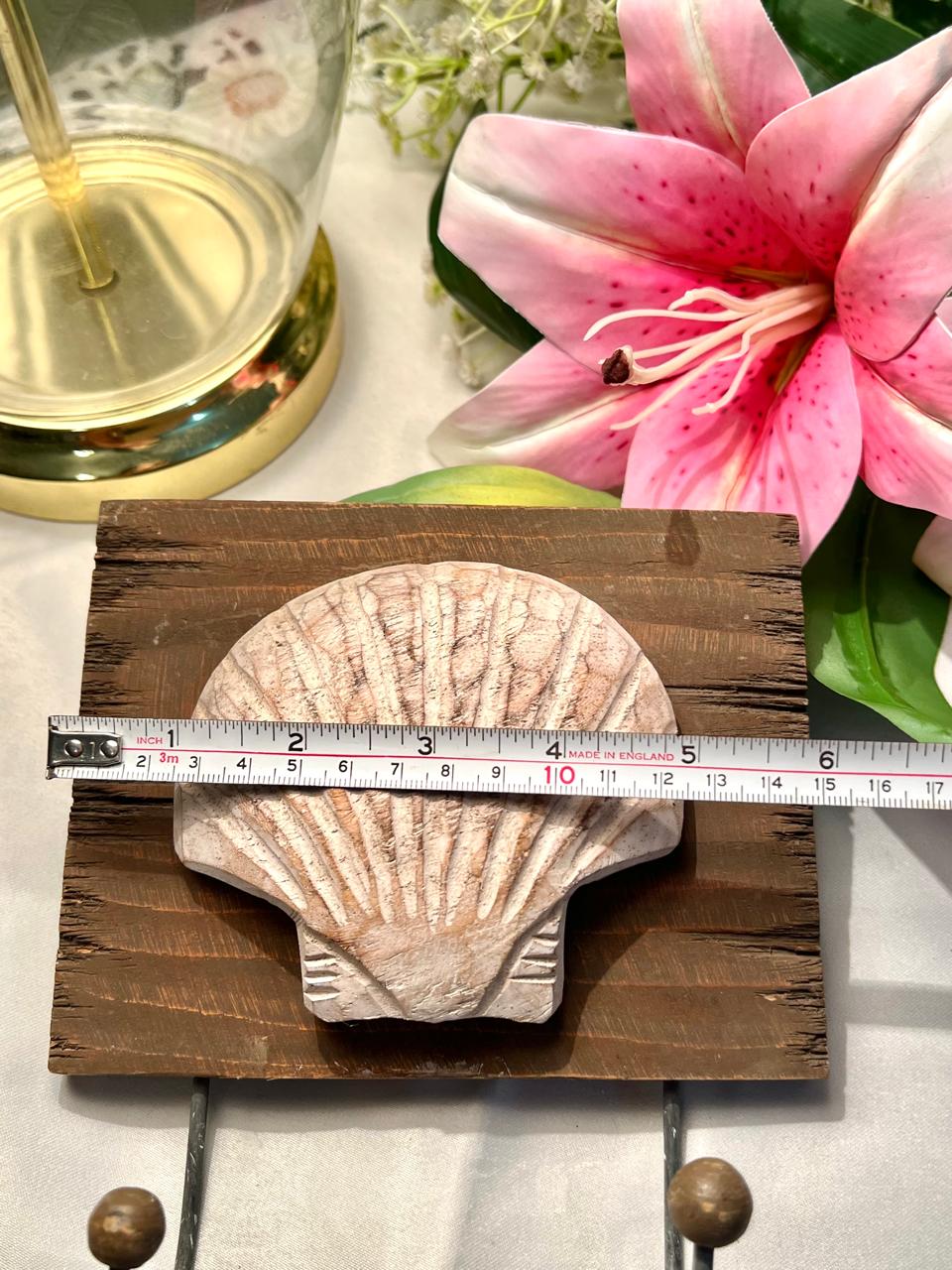 Shell Wall Hook Rack Brown Wood 16cm Coastal Home Decor