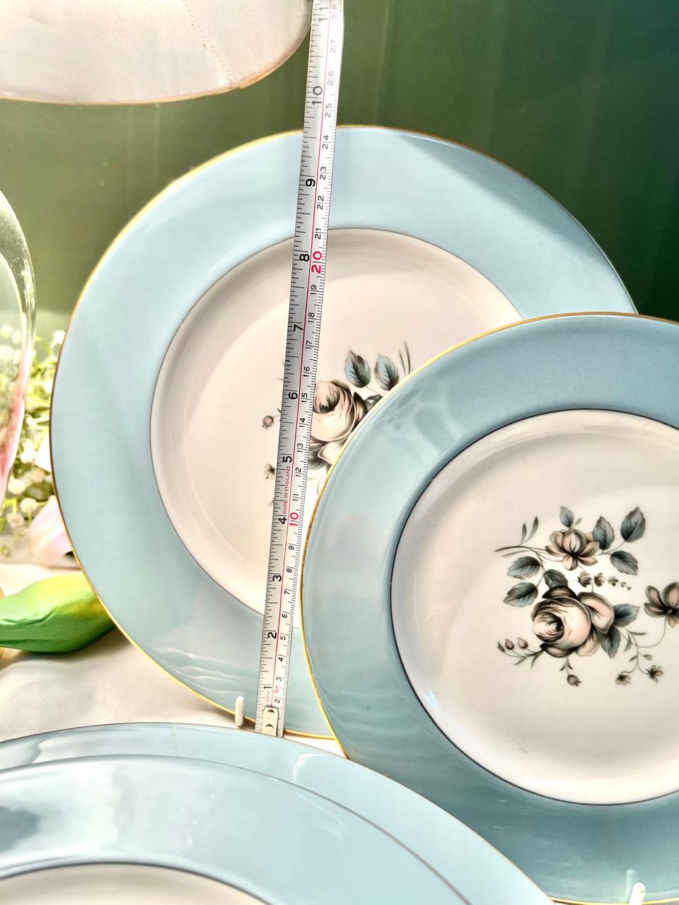 Royal Doulton Rose Elegans 10-Piece Blue Floral Plate Set