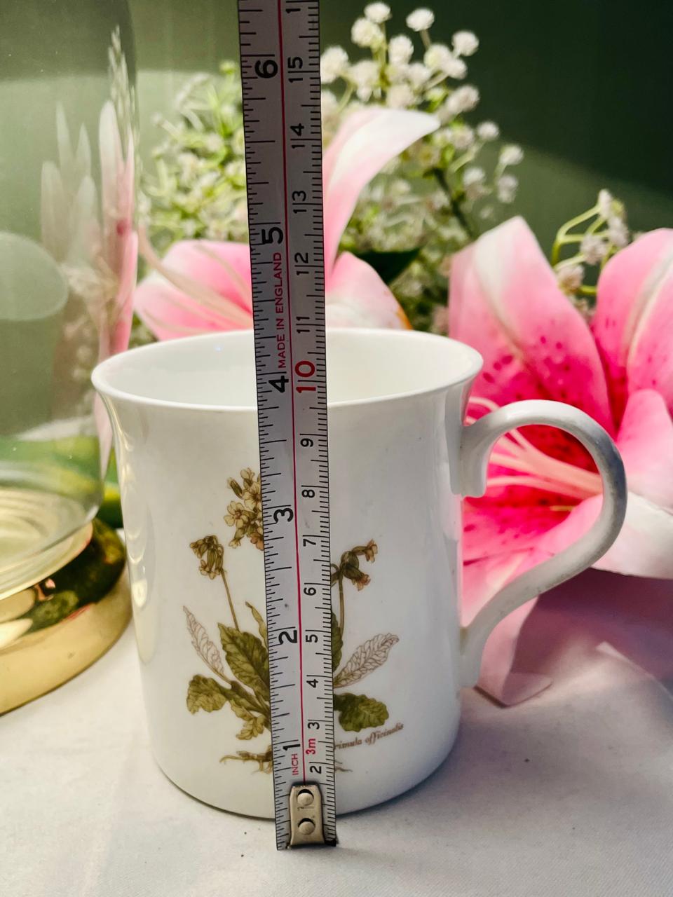 Crown Trent Fine Bone China Botanical Mug – 1 Piece