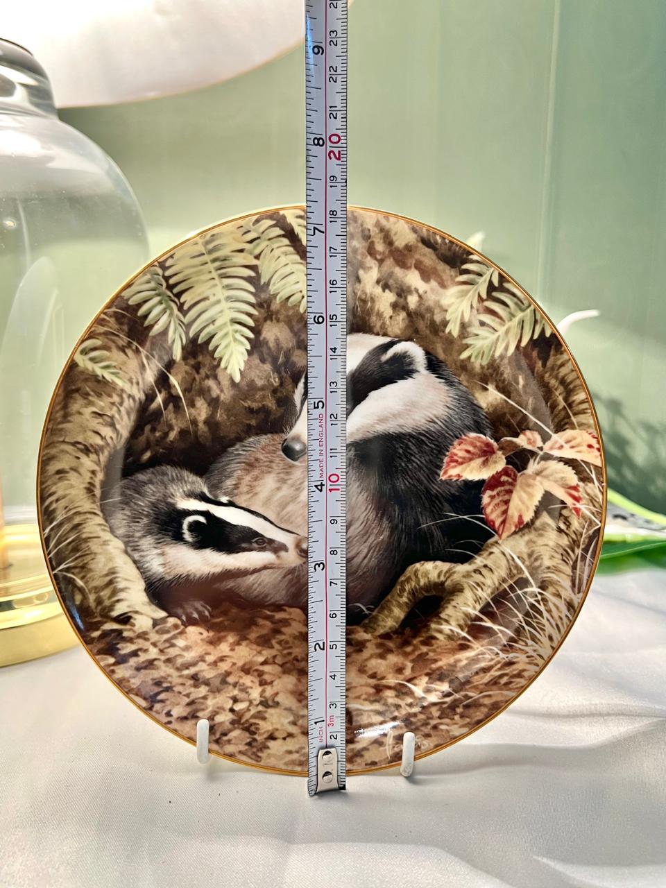 The Forest Year Badgers June Ferns Porcelain Wall Plate 7 in