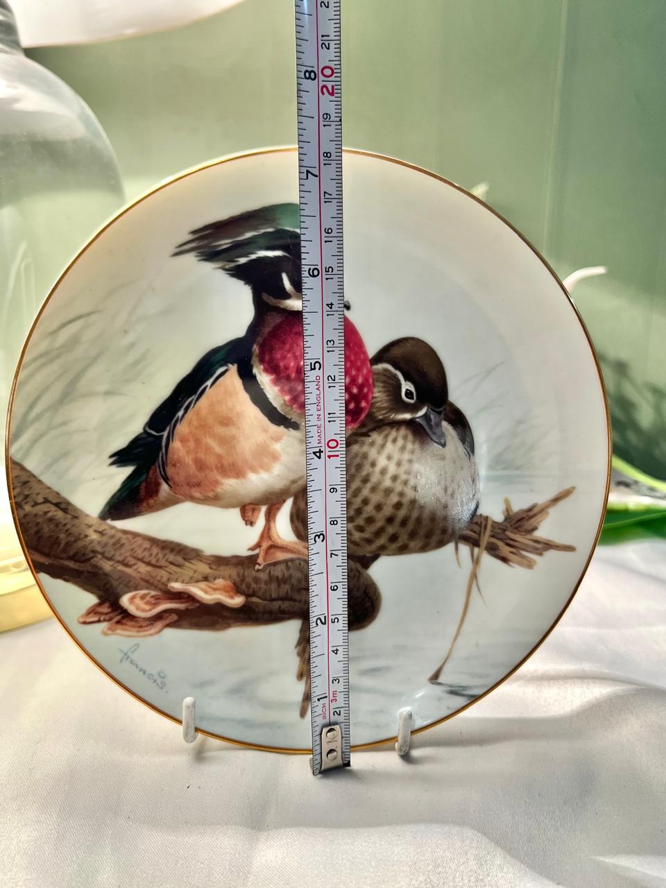 The Forest Year Wood Ducks July Sun Porcelain Wall Plate 7 in