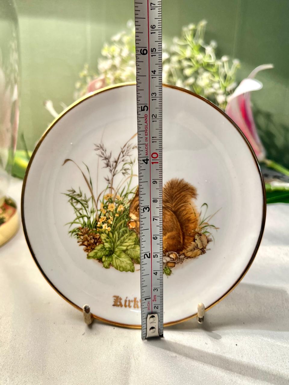 Gen. Leonard & Co. Orkney Squirrel Decorative Plate, Approx. 5.5 in