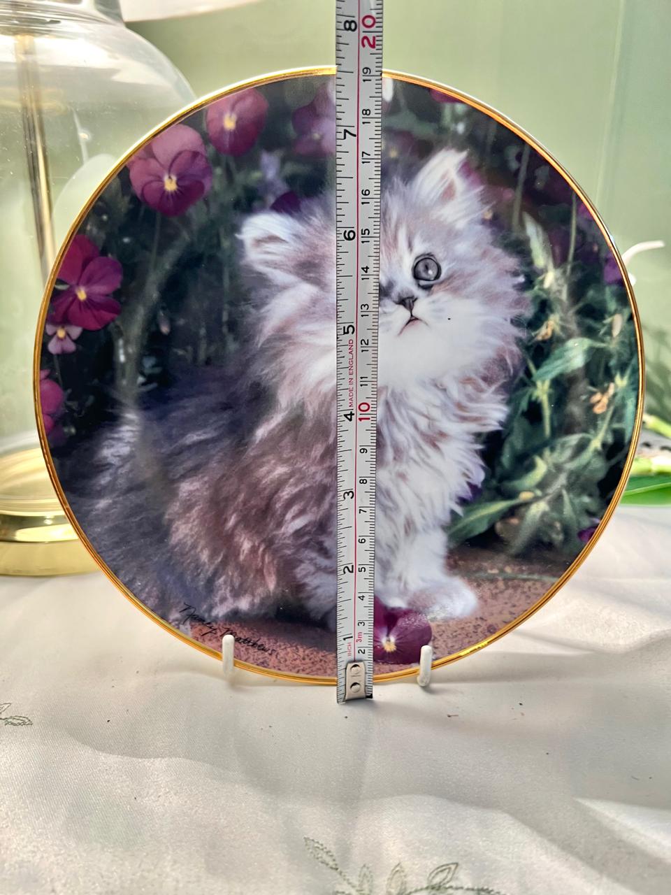 Franklin Mint Purrfection Cat Decorative Plate 20cm