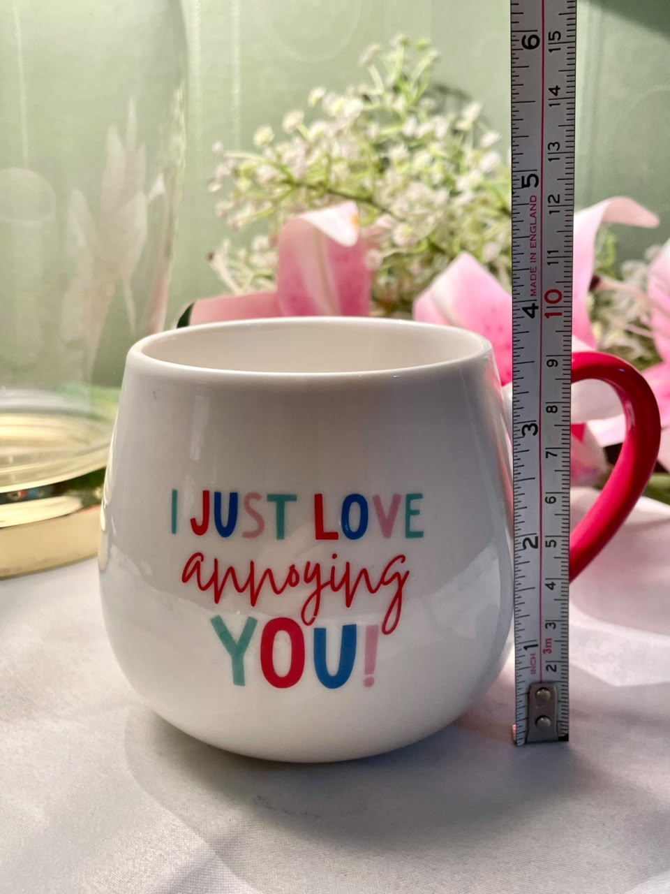 Sportswift “I Just Love Annoying You” Novelty Mug Pink Handle 9cm
