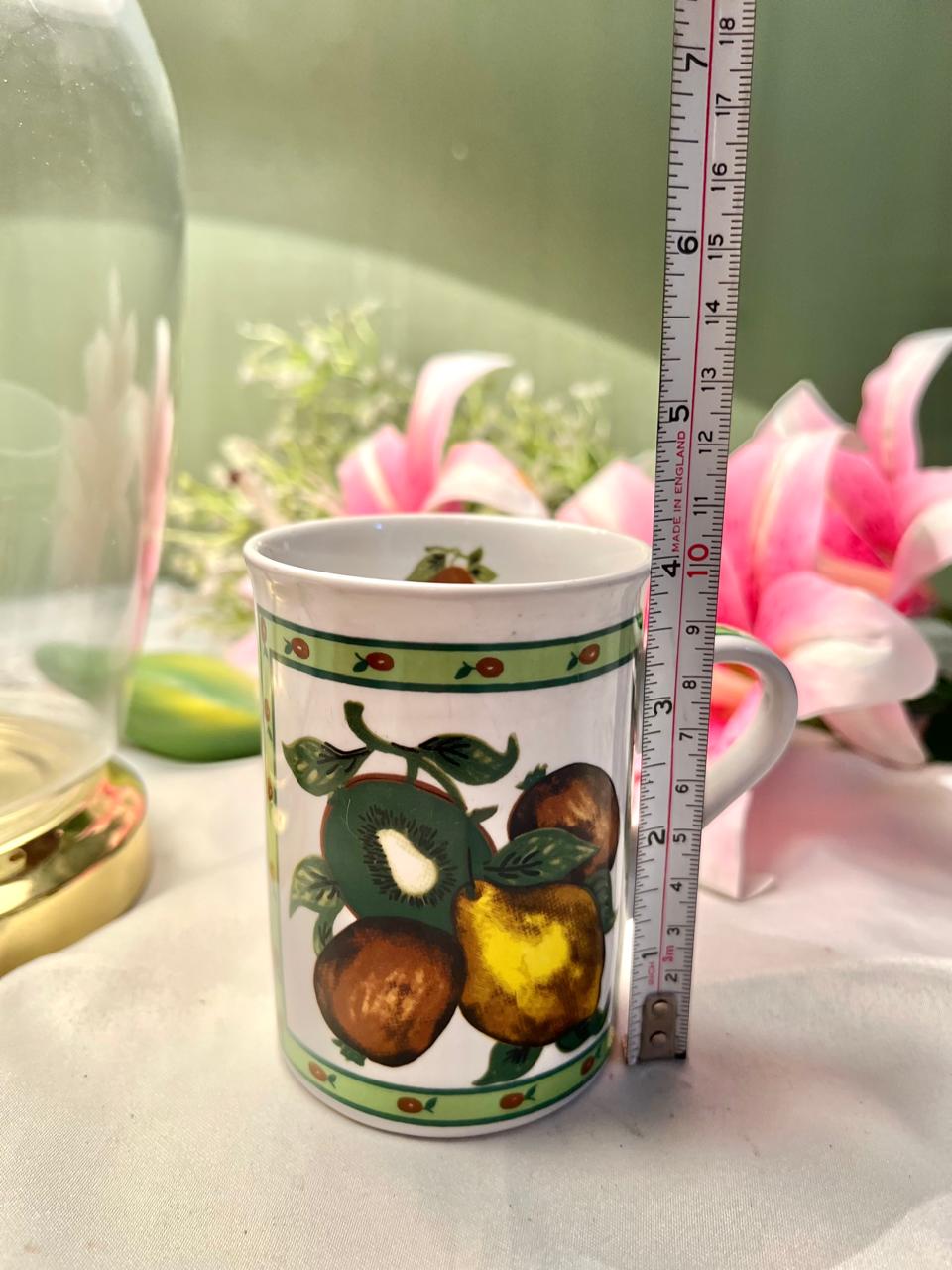Fruit Design Ceramic Mug Green Border 10cm