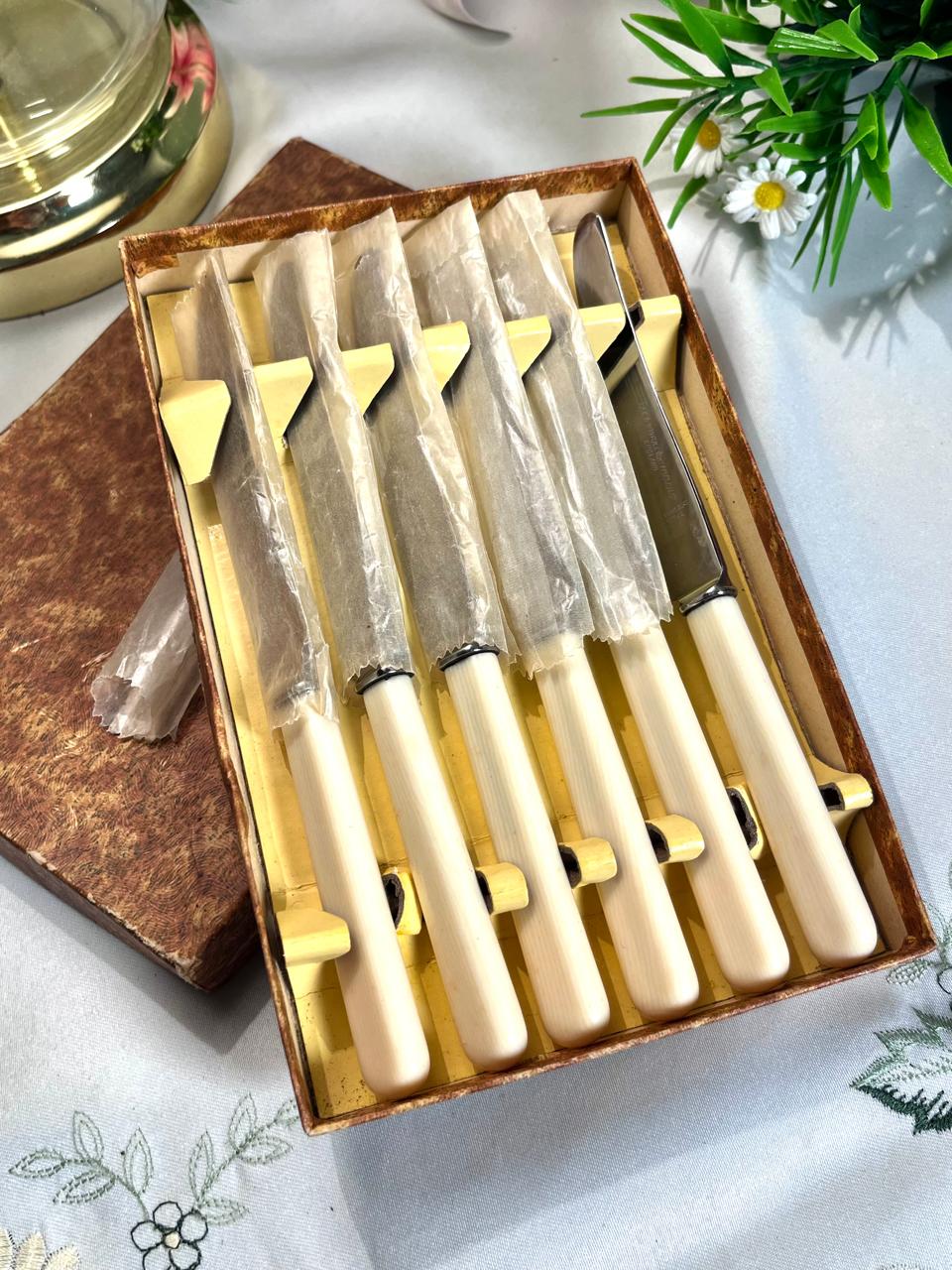 Boxed Silver-Tone Dessert Knives – 6 Pieces, 18 cm