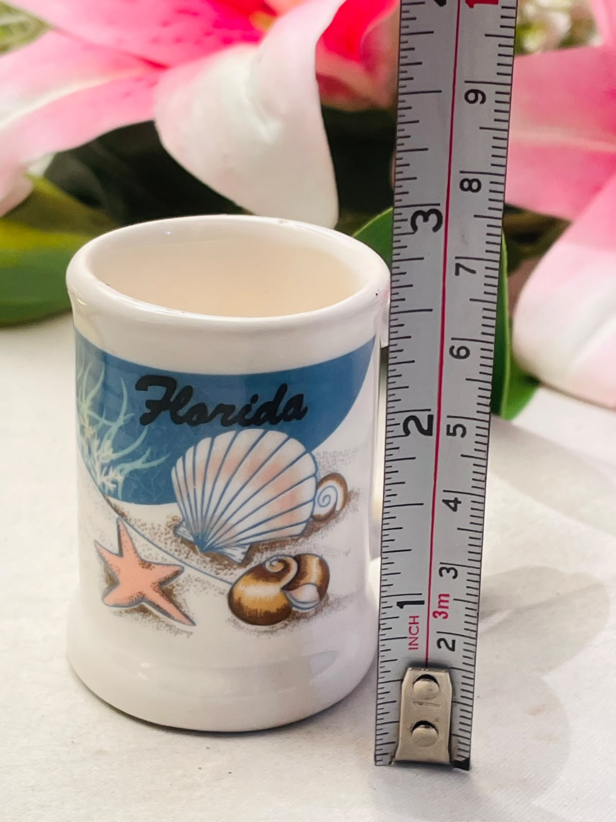 Florida Seashell Souvenir Ceramic Mug Approx. 7 cm