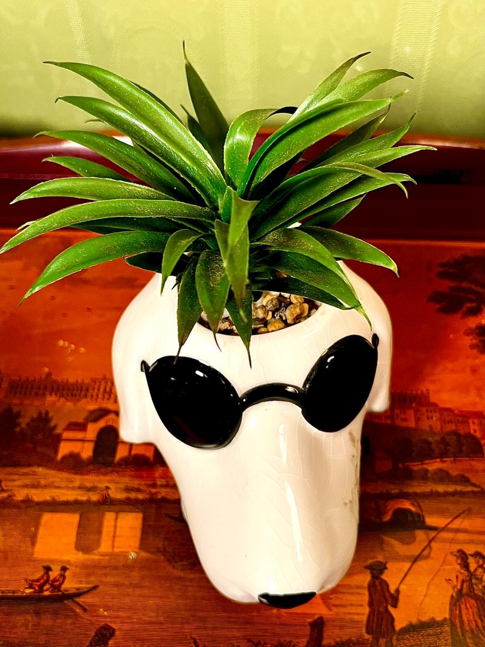 Dog with Sunglasses Ceramic Planter | Novelty Indoor Plant Pot | 5 Inch
