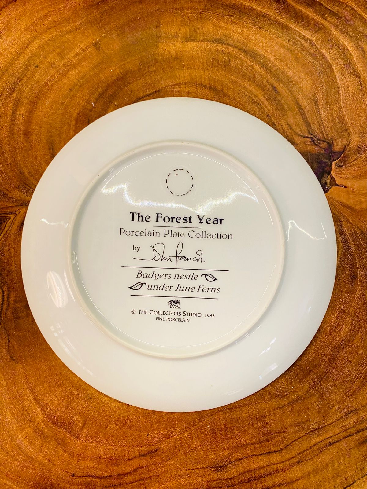 Vintage Badger Plate Forest Year June Ferns Porcelain 1983