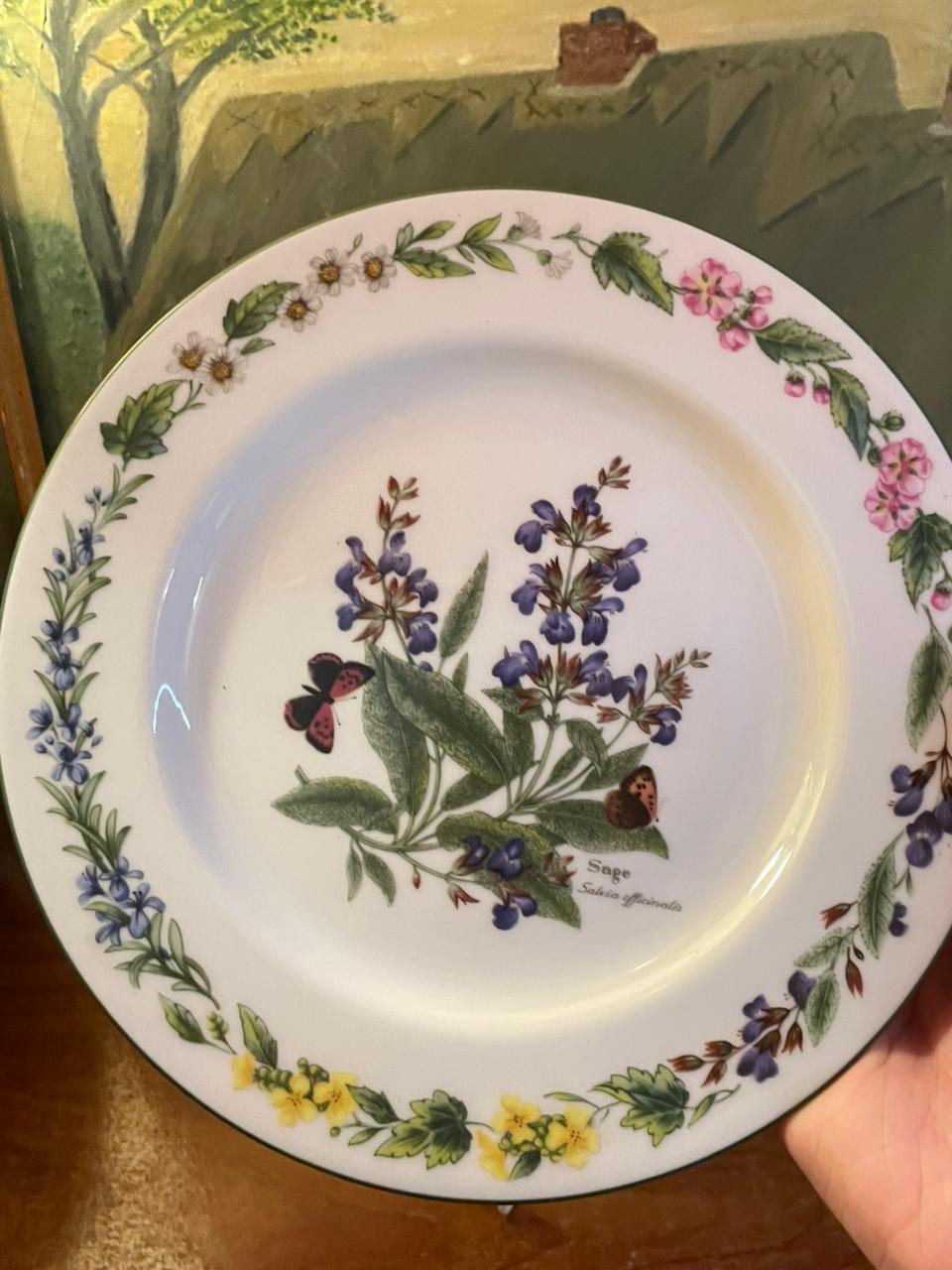 Royal Worcester "Worcester Herbs" Plate | 8" | Made in England