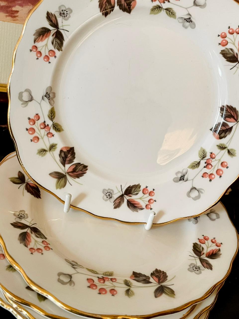 Set of 5 Colclough Bone China Plates – Red Berry & Gold Rim (England)