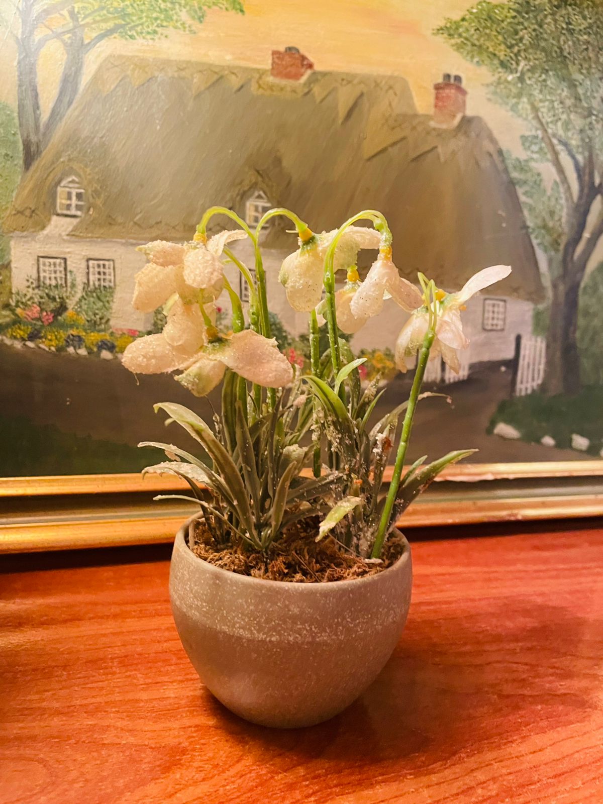 Flower Pot | Vase | Home Decor