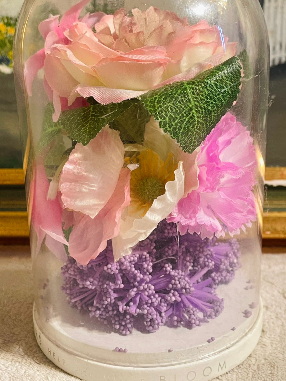 Clear Glass Round Cylinder Flower Dome – Elegant Decorative Display