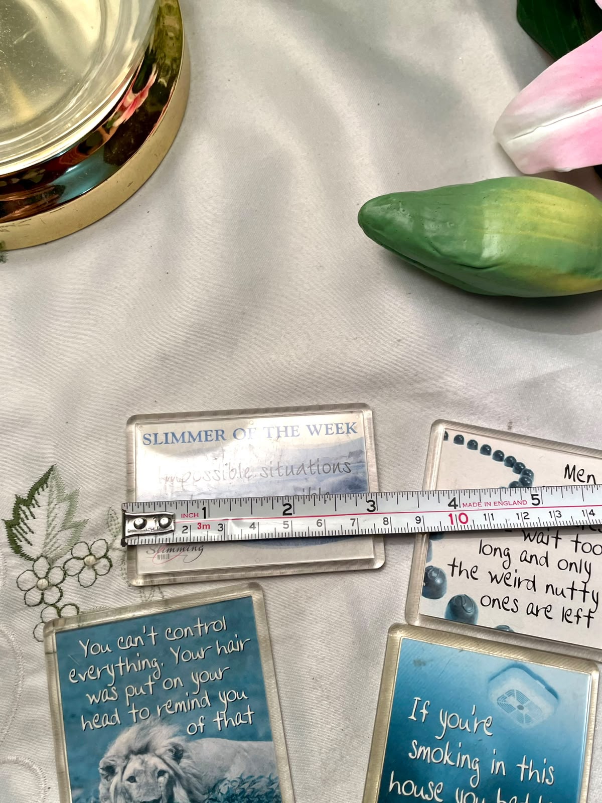 Vintage Humorous Quote Fridge Magnets – 5 Piece Set