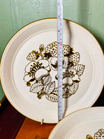 Vintage English Stoneware Floral Dinner Plates 10" – Set of 6