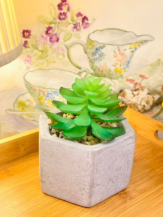 Artificial Succulent in Concrete Pot – Faux Plant for Home Decor