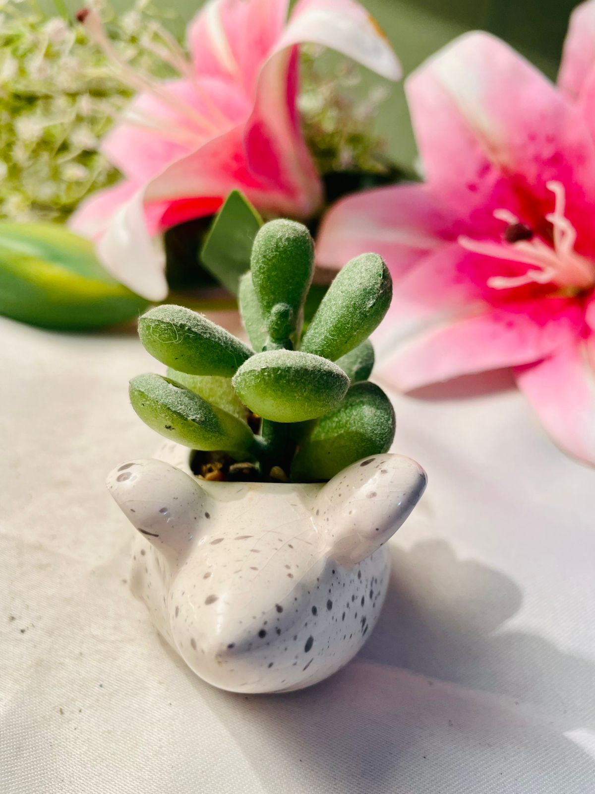 White Turtle Mini Planter with Succulent 3 in