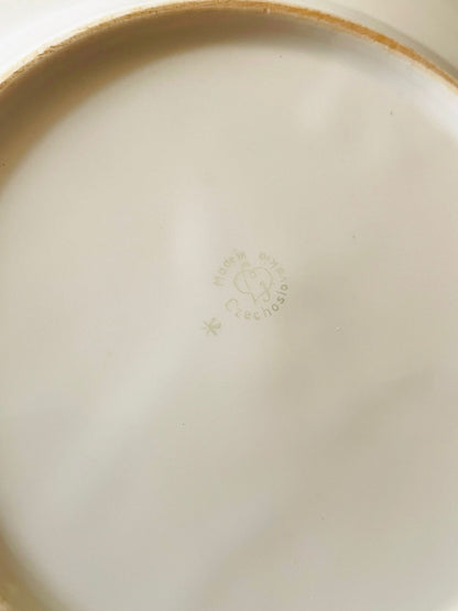 (Rare find) Set of 2 Vintage Czechoslovakia Porcelain Plates – Hand-Painted Fruits with Gold Trim