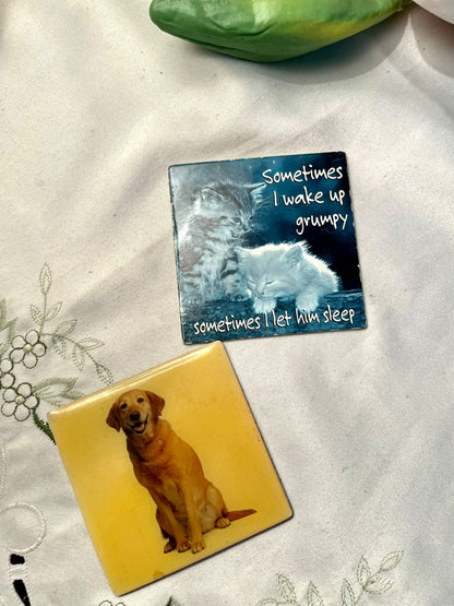 Cat & Dog Novelty Fridge Magnets – 2 Piece Set