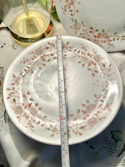 6-Piece Peach Floral Dinner Plate Set 9.5 in Made in England